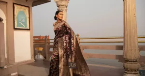 Must-Know Checklist Before Buying a Pure Banarasi Saree: HSN Code 5007, Silk Mark & Authenticity Guide